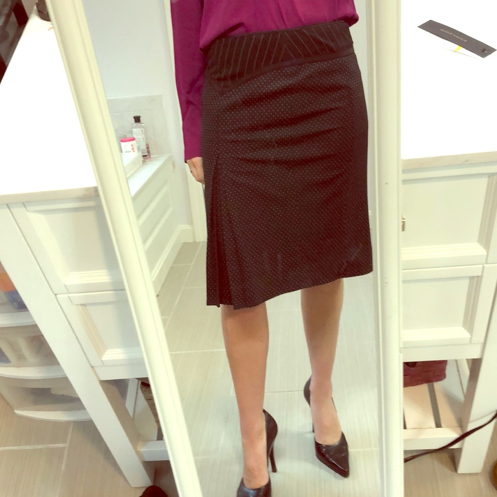 The Limited skirt